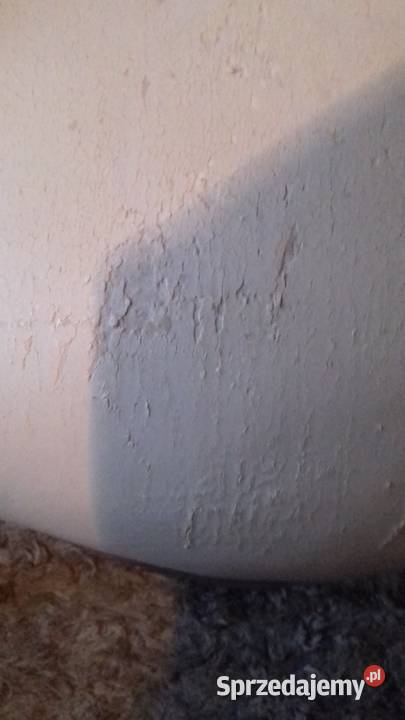 Fotel retro śląskie Bielsko-Biała