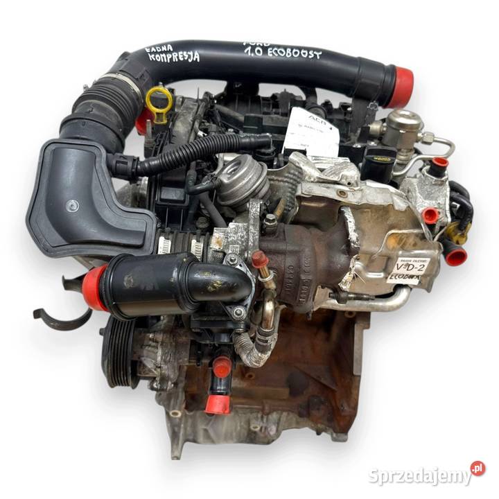 SILNIK M1DA Ford Focus III MK3 C C II 10 osobowe Chełm sprzedam