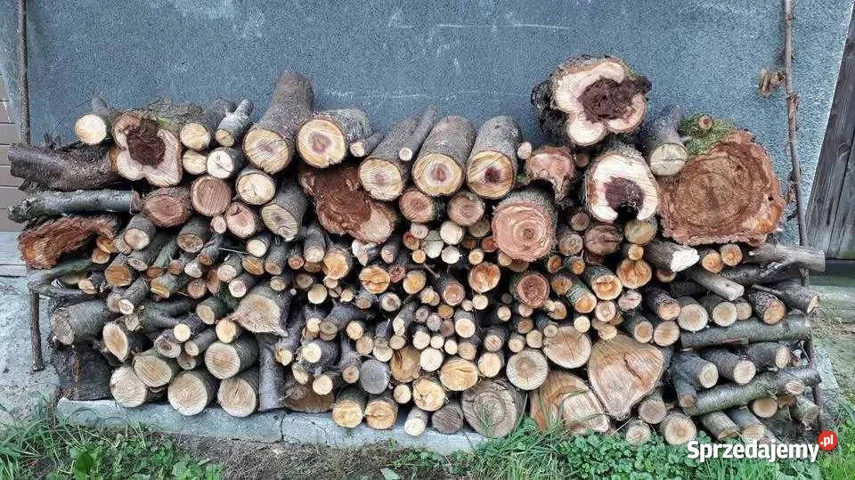 Drewno drzewo do wędzenia GRUSZA ŚLIWA Kętrzyn