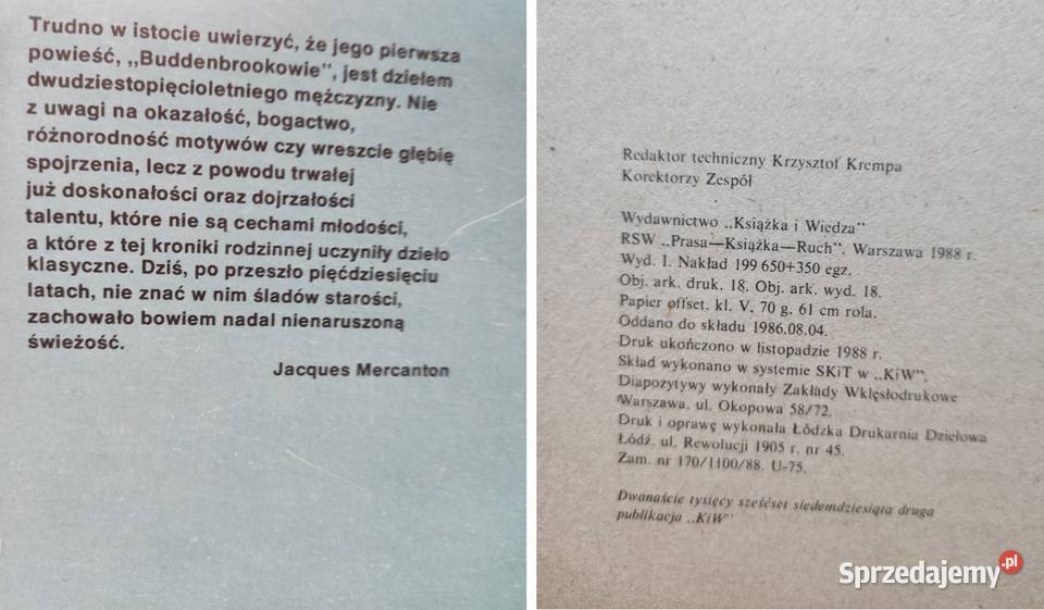 Tomasz Mann Buddenbrookowie dzieje upadku miękka Kielce