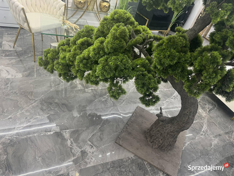 Sztuczne drzewko Bonsai Premium 165x90x200