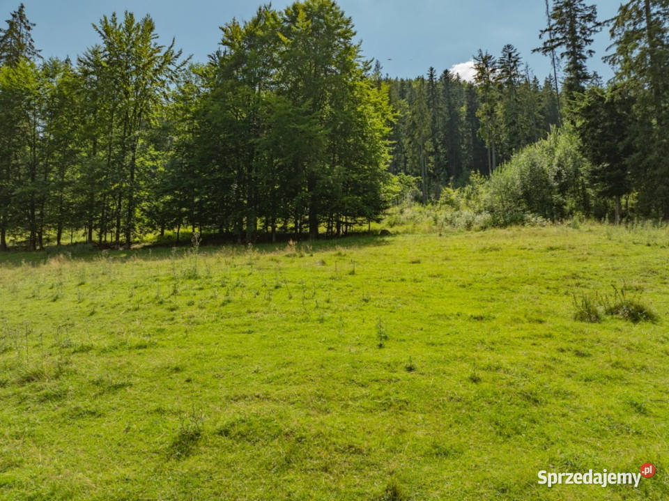 Działka rolna Jaszczurówka Zakopane z dojazdem 84m