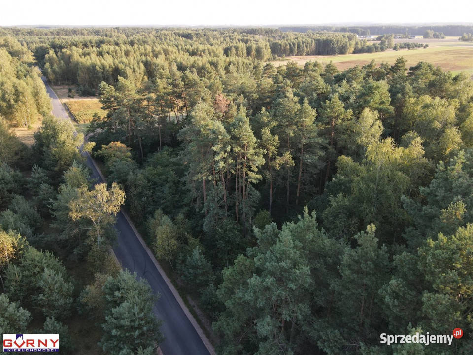 Grunt 29700m2 Mąkolice