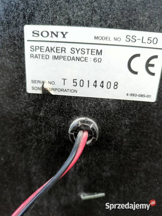 Kolumna głośnik Sony SSL50 Tarnobrzeg