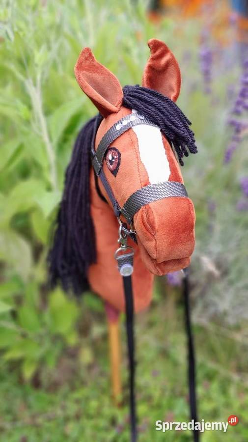 Konik hobby horse Kraków