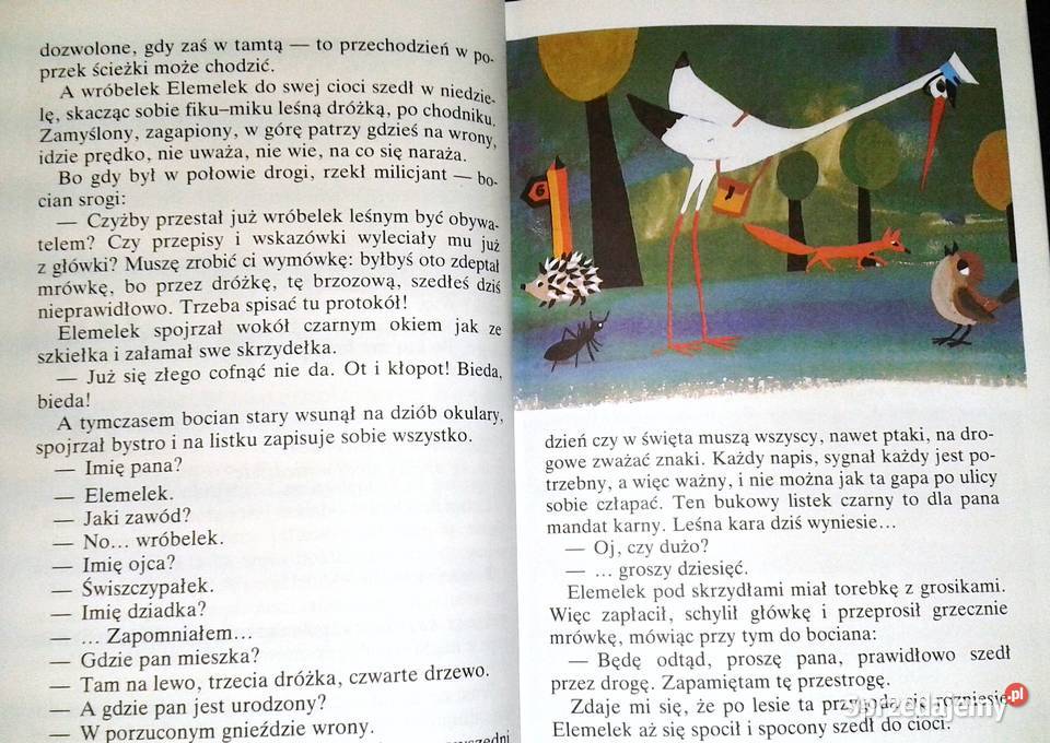 O wróbelku Elemelku Hanna Łochocka Zdzisław Chełm