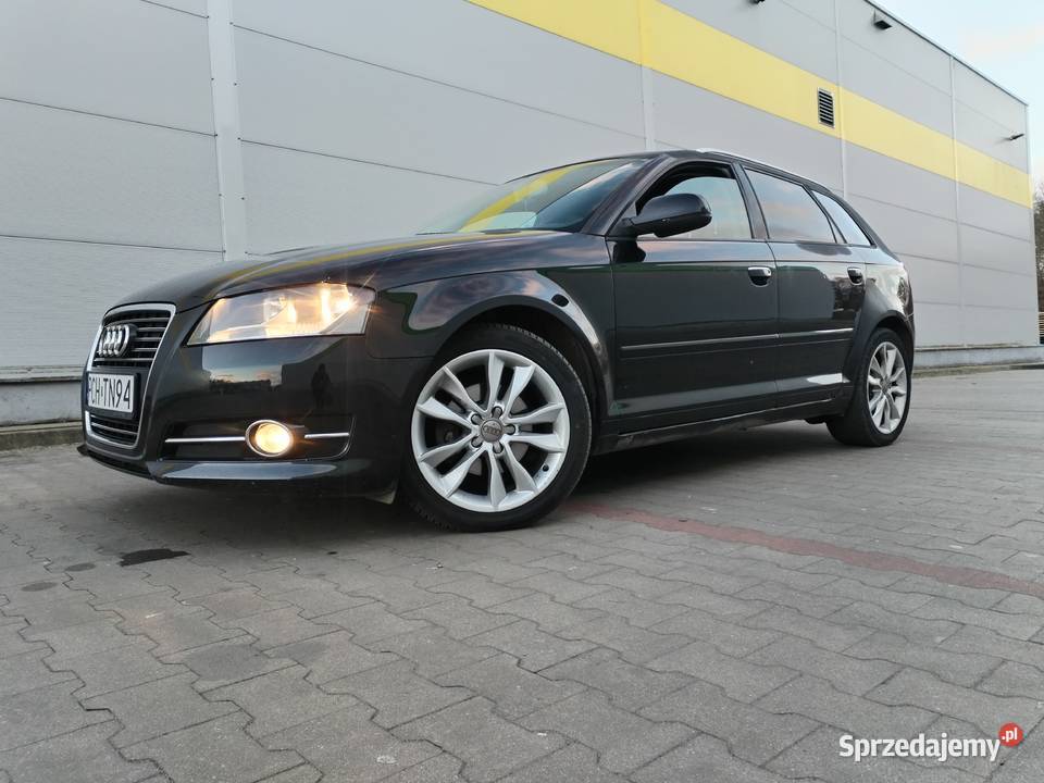 Audi A3 8P sportback 16 tdi wielkopolskie Chodzież