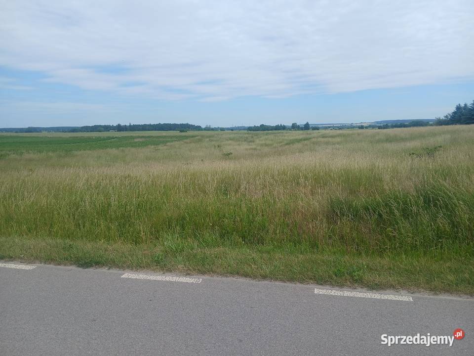 Działka budowlana 45 a Krzywowola gm Rejowiec Chełm