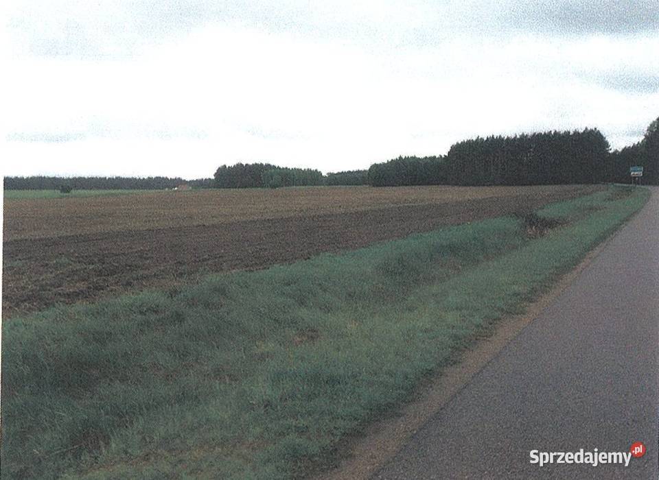 Kontrewers gm Strzegowo 1978 m2 rolna Sprzedaż