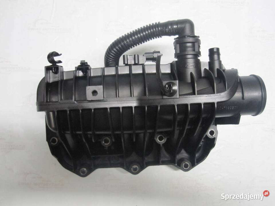 FORD FOCUS 10 ECOBOOST 12R 100 1047092S01