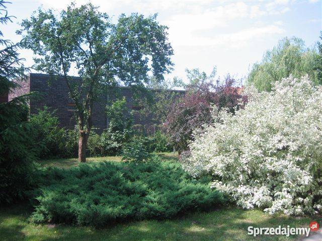 Sprzedam zamienię dom na mieszkanie