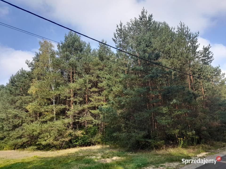 Syndyk sprzeda udziały w grunatach Jastkowice 30844m2 Grunty i działki sprzedam