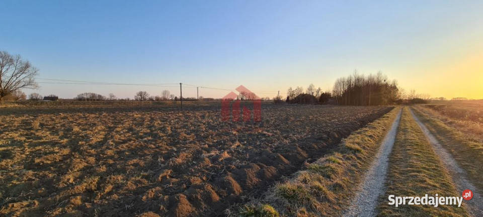 Grunt Dąbrowica 15000m2