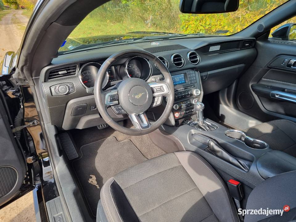 Ford Mustang V6 305 zachodniopomorskie Drawsko Pomorskie