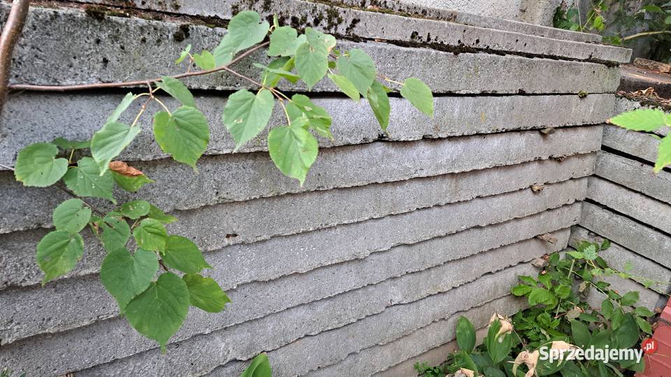 Płyty stropowe korytkowe dolnośląskie Bielawa