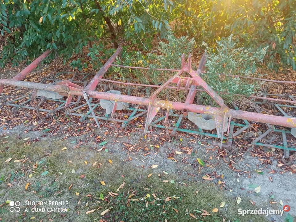 Brony polowe 5 Babin