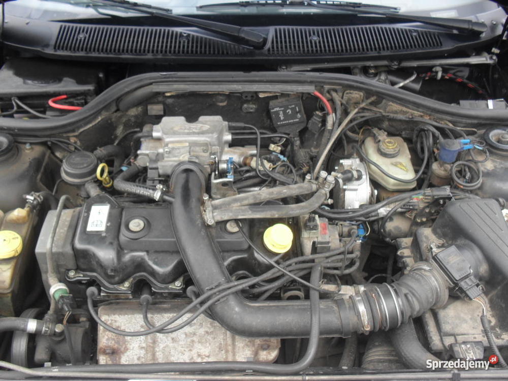 FORD ESCORT 14 WSPOMAGANIE GAZ hak Nysa