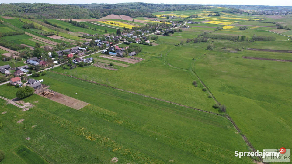 Grunt na sprzedaż 7447m2 Dzielce asfalt sprzedam