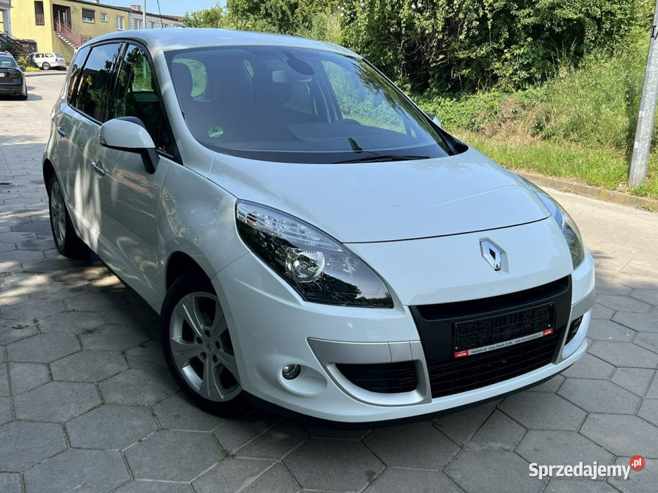 Renault Scenic Renault Scenic Benzyna Mały czujnik parkowania Gostyń