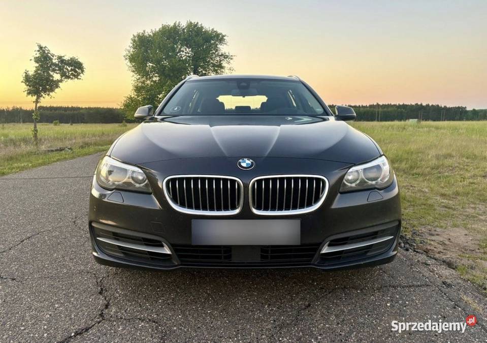 BMW Seria 5 F11 LCI 20d B47 Rudna