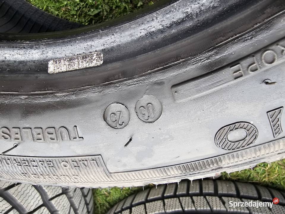 Nowe zima 22550R17 2025 Tagom tires Ghiacco Skierniewice