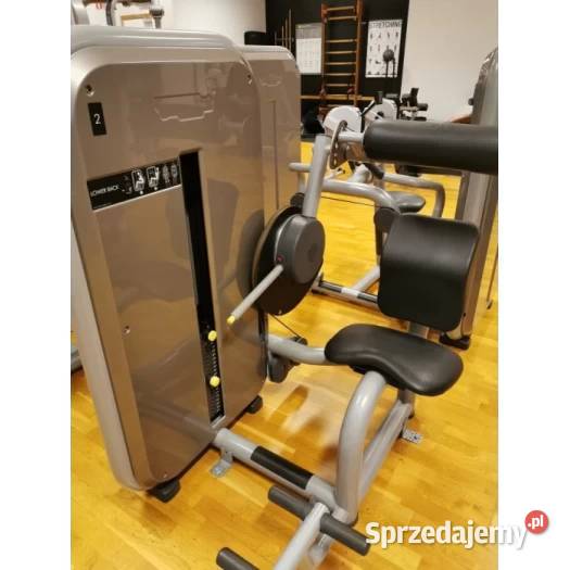 Maszyna do ćwiczeń mięśni pleców Lower Back Wałcz