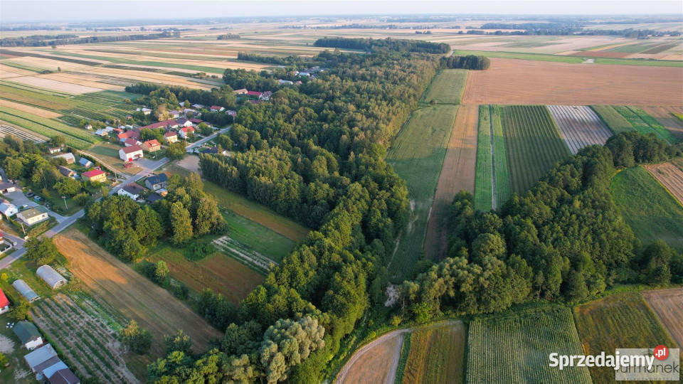 Działka Rakówka 22400m2 22400m2