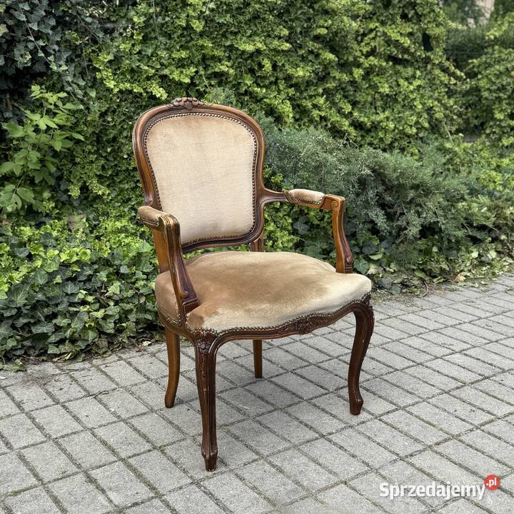 ARTexpert Wygodny Pałacowy fotel Ludwik welur Meble Dobrzany