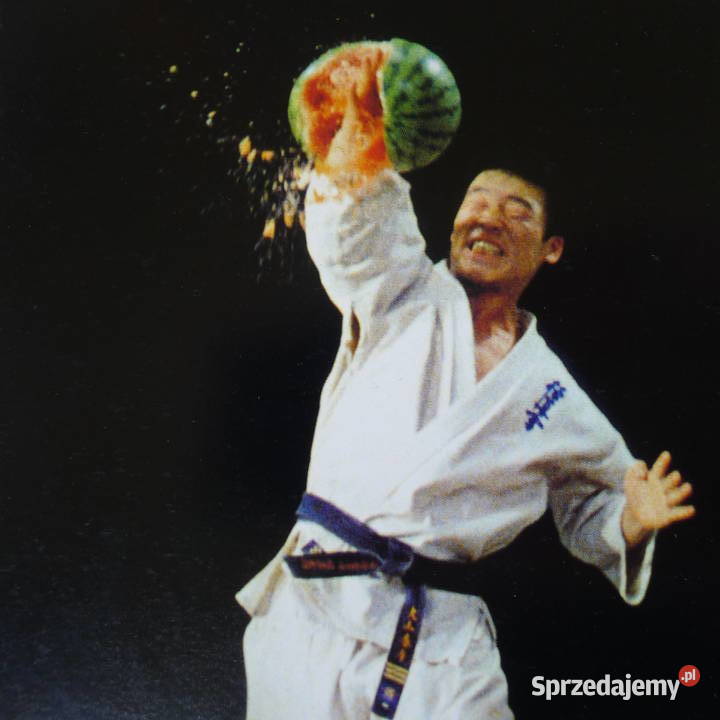 Oyama The Strong Kyokushin Karate Walki Wschodu mazowieckie Radom sprzedam