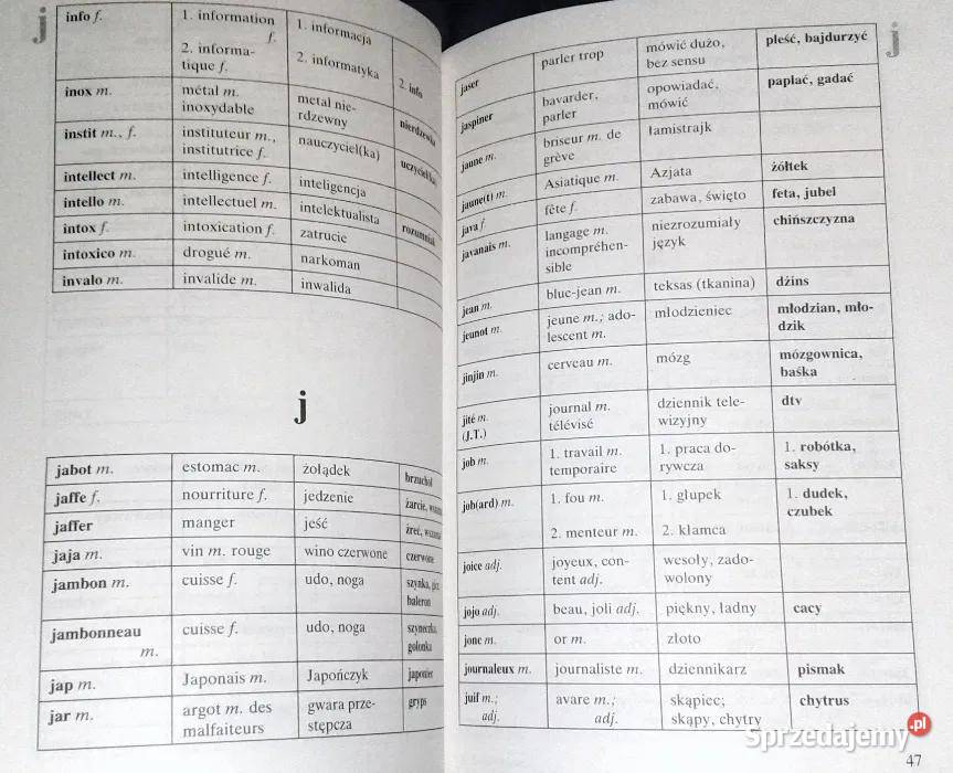 Le Ptit Argotier Słownik wyrazów potocznych i Pozostałe lubelskie Chełm