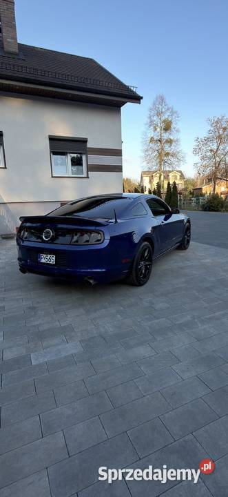 Ford Mustang GT V8 50 Gizałki