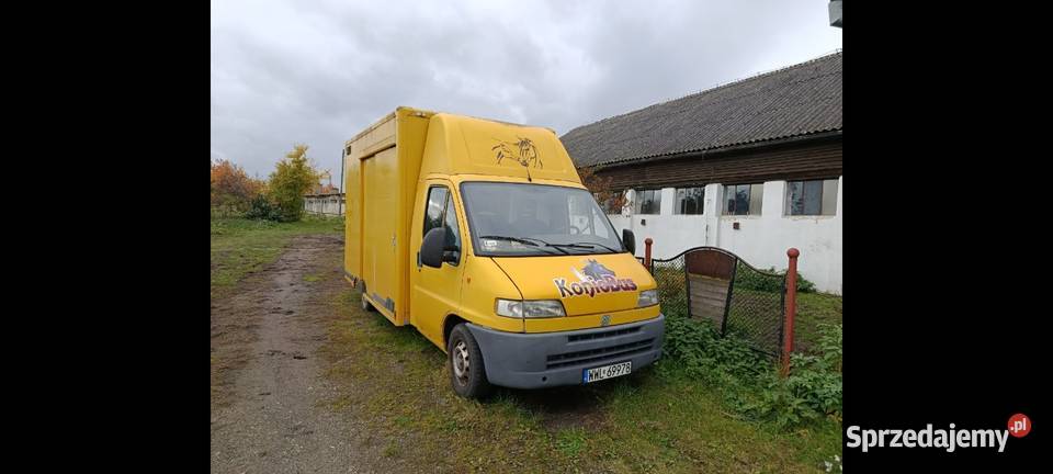 Koniowóz Fiat Ducato do 35t Ducato Prudnik
