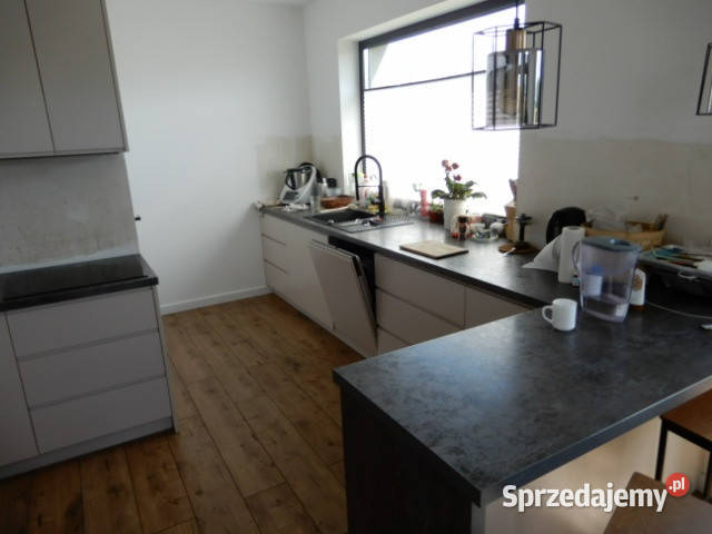 Syndyk sprzeda działki o numerze 2571 224 221 Trzeszyn