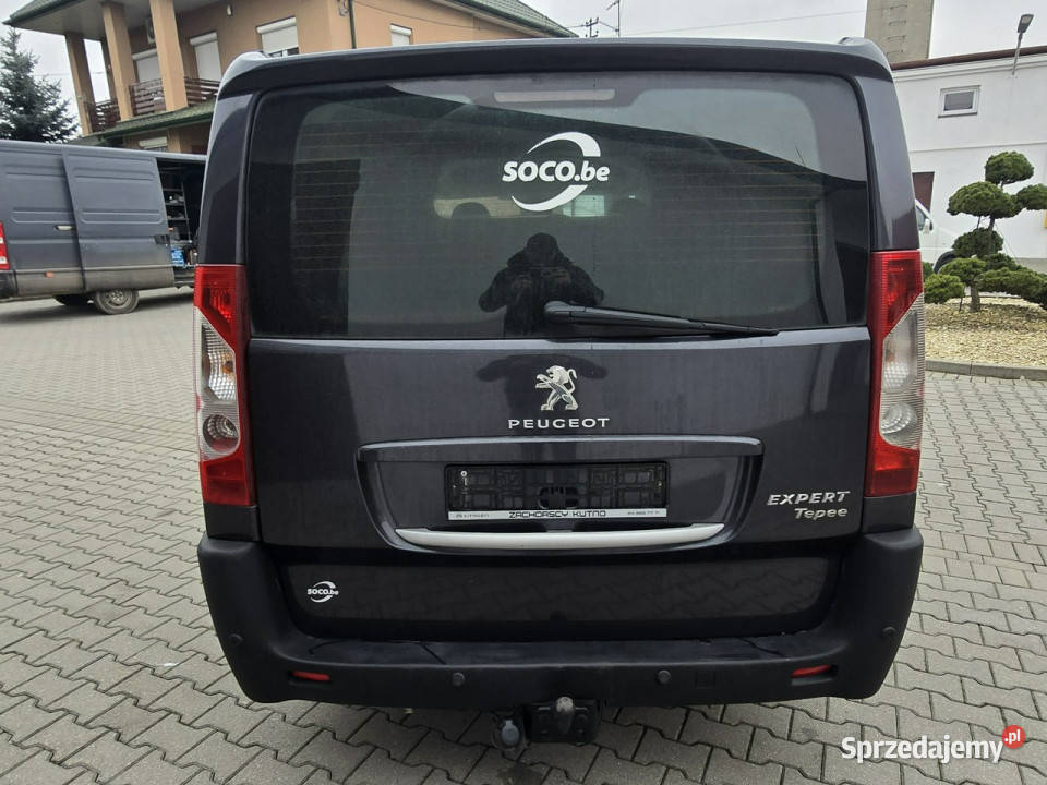 Peugeot Expert 20HDI 6 Samochody dostawcze Kutno sprzedam