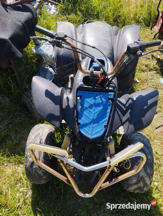 sprzedam qadda Brzozowa