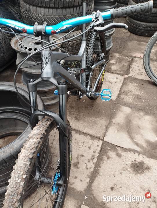 Dartmoor Blue Bird Evo 2022 Gołkowice Górne