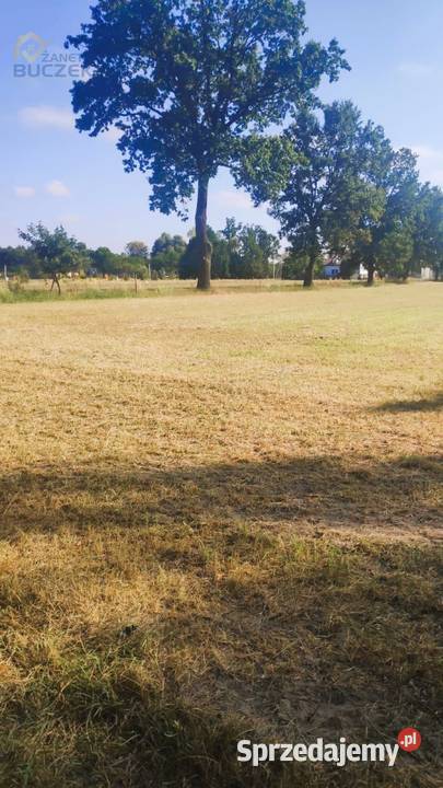 Sprzedam działkę budowlaną w Lasocinie Sprzedaż mazowieckie Lasocin