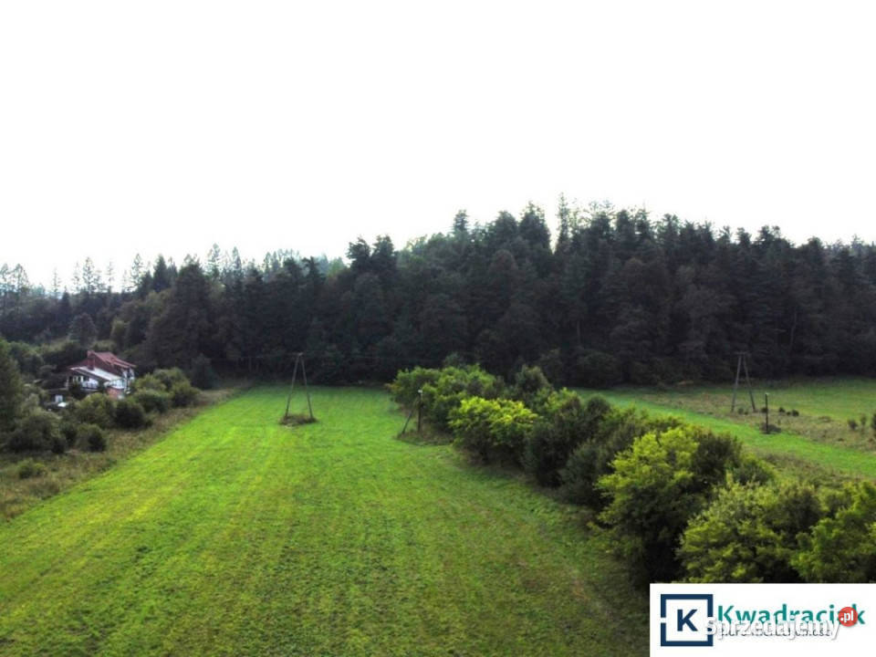 sprzedaży gruntu Huzele 2338m2 23.38m2 sprzedam