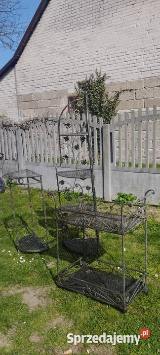 Kwietniki podkarpackie sprzedam