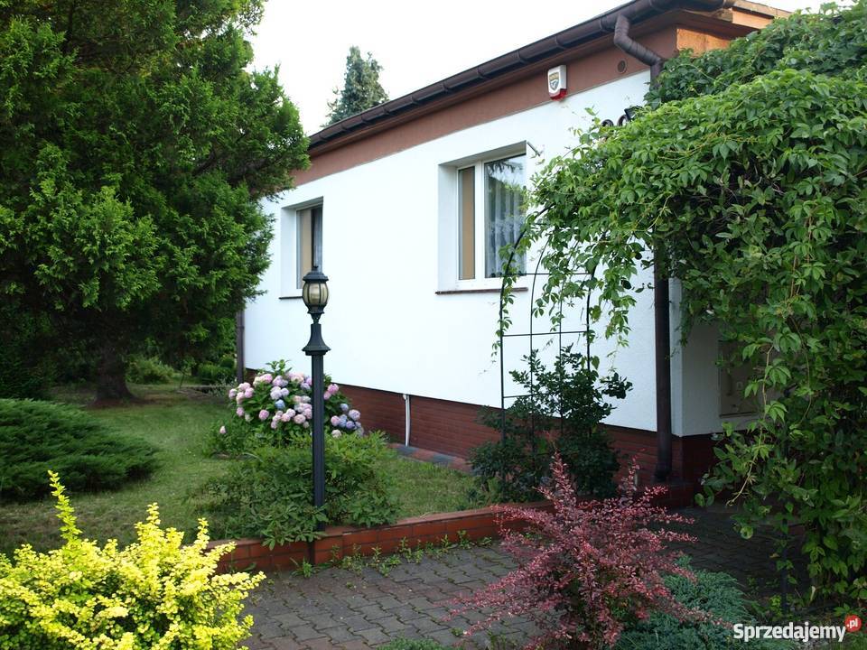 Dom na sprzedaż Piękny ogród Miasteczko Śląskie