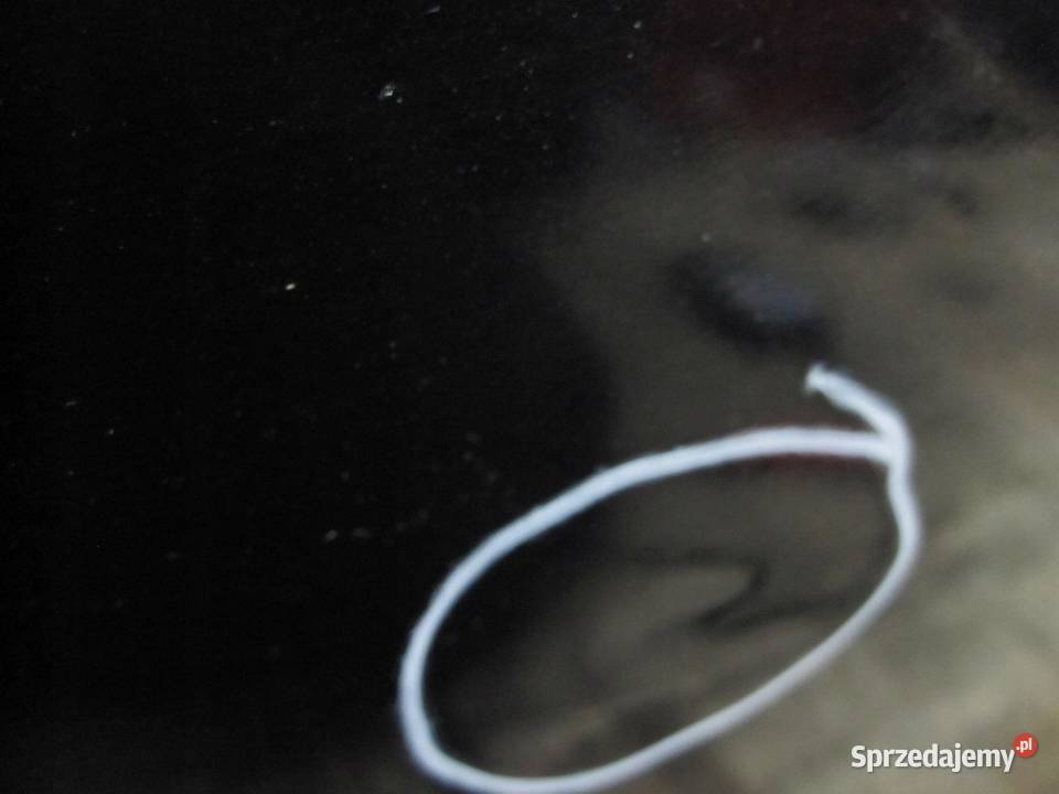 OPEL MERIVA B 13r drzwi prawe przód osobowe