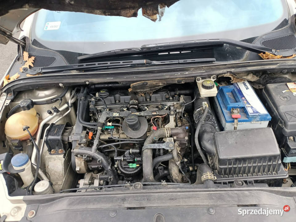 Peugeot 307 SW Peugeot 307 SW 20HDI 90 05r 7os I 307 SW sprzedam