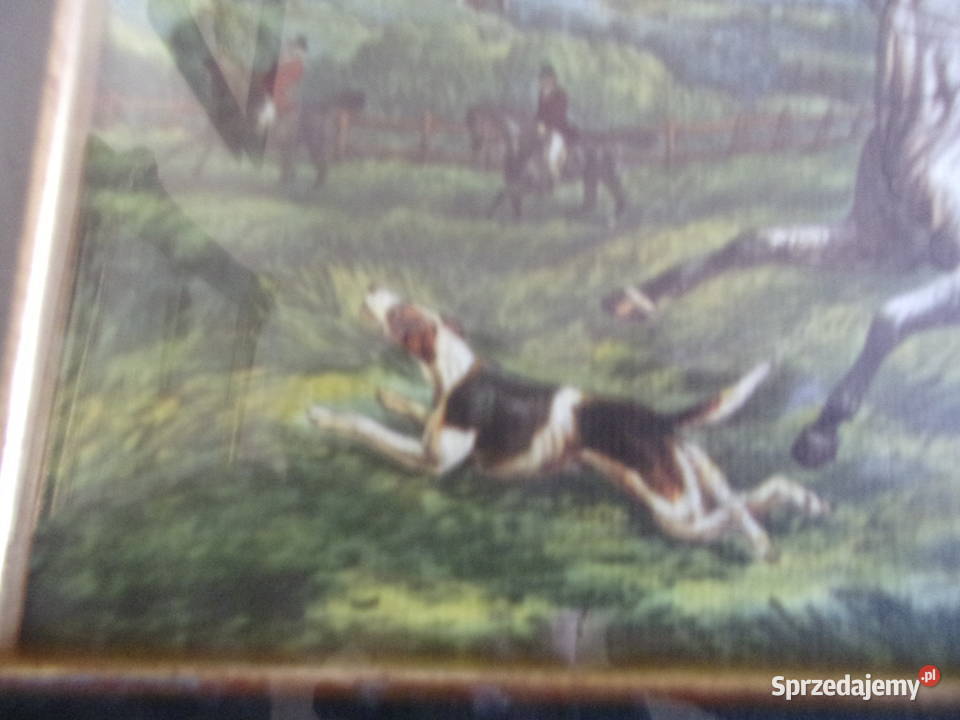 Ładny stary obraz w ramie drewno szybą Hrabia na
