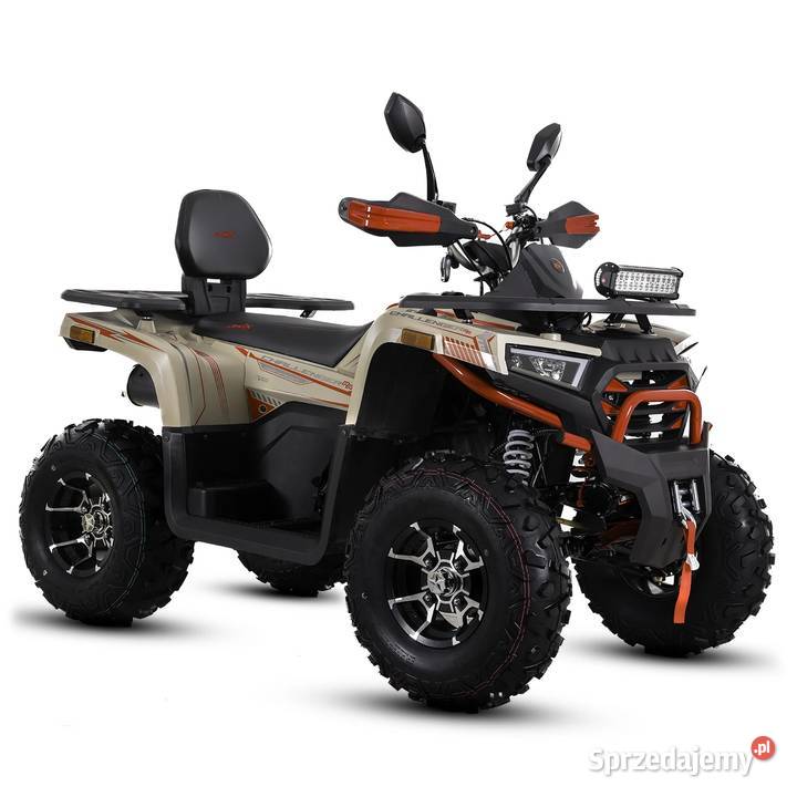Dostawa Quad ASIX CHALLENGER 250 T3B Mocny