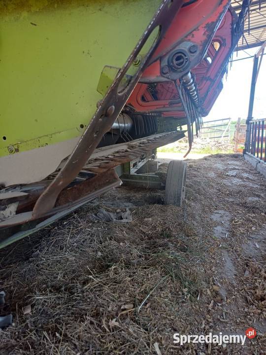 Claas Dominator 96 Międzychód