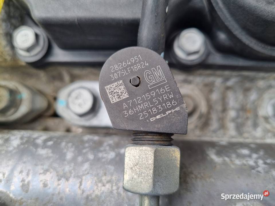 SILNIK BEZ OSPRZĘTU Chevrolet Captiva 22 CDTI Silniki kompletne Rudka