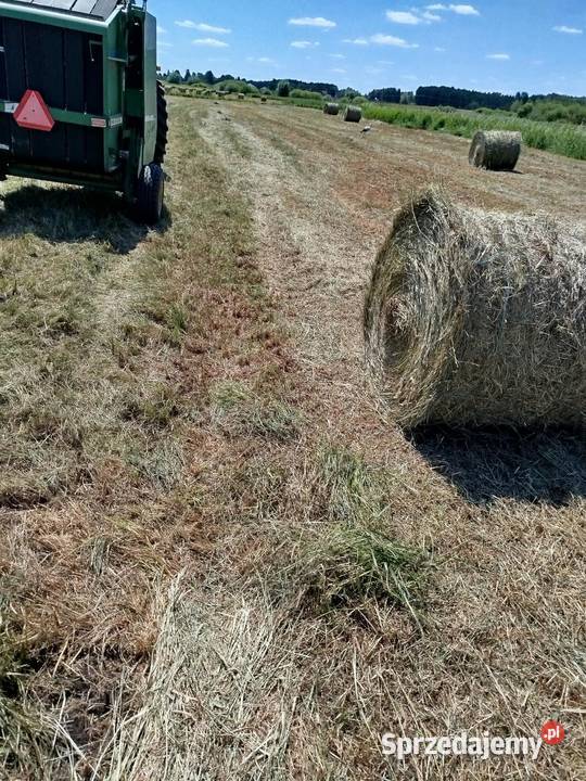 Siano słoma w belach lubelskie Wytyczno