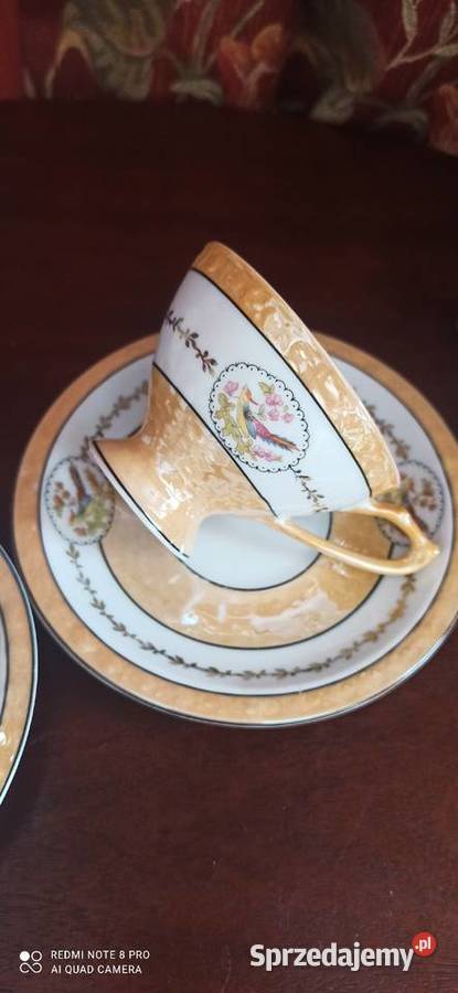 Filiżanka ptaszki Schwarzenhammer pomorskie