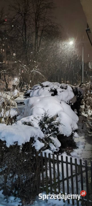 Kawalerka Mazowieckiej w Krakowie Kraków