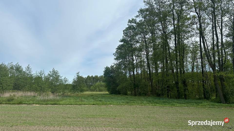 DZIAŁKA BUDOWLANA NA SPRZEDAŻ prąd Karolew